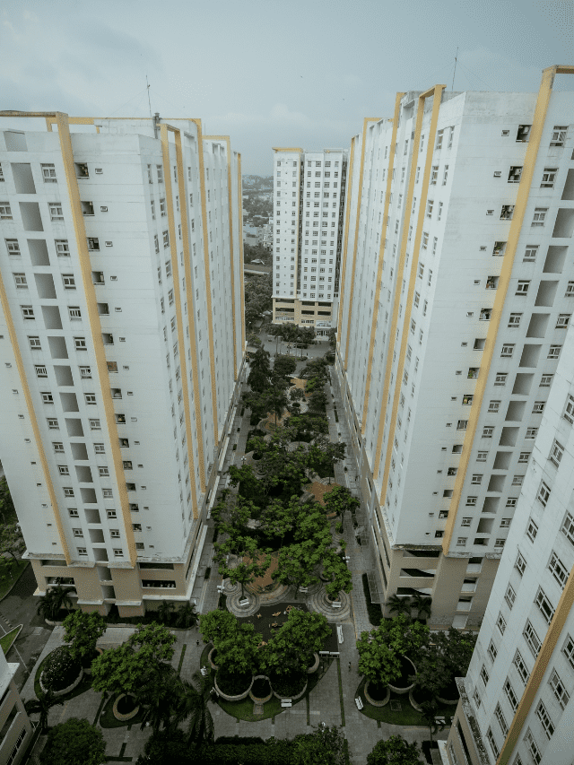 Streitwise Review – All You Need To Know Story