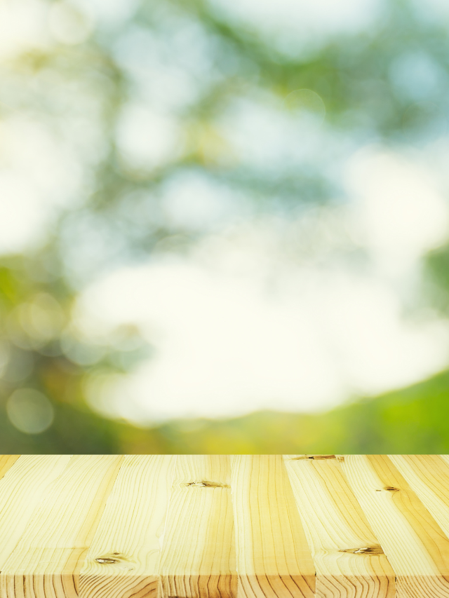 Nature Wood Background Stock