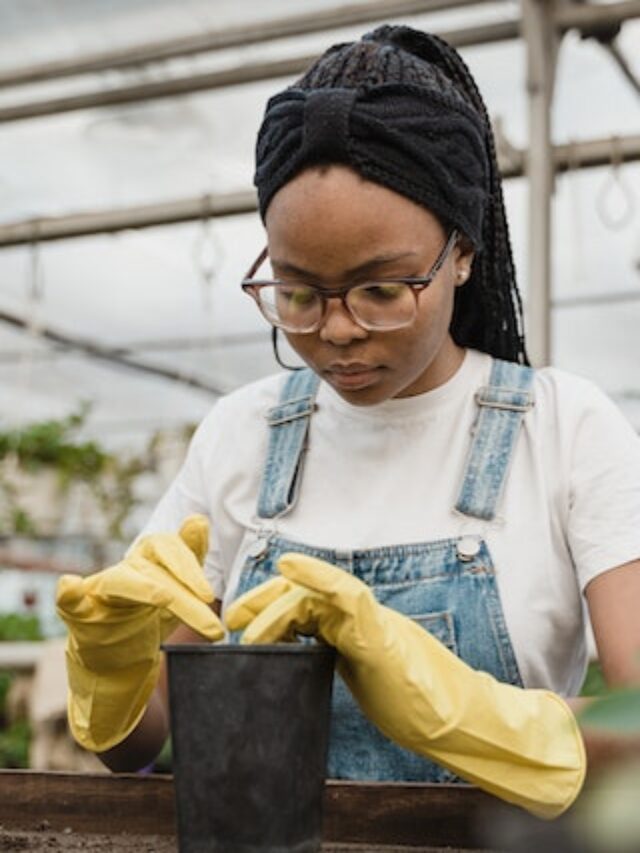 Where to Get Free Compost Near Me 15 Best Places To Find Compost Materials