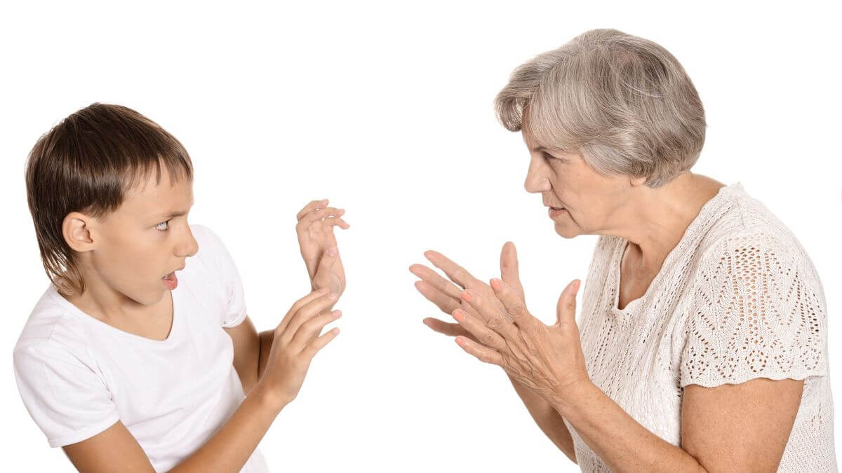 Grandmother Arguing With Grandson Facing Each Other MSN