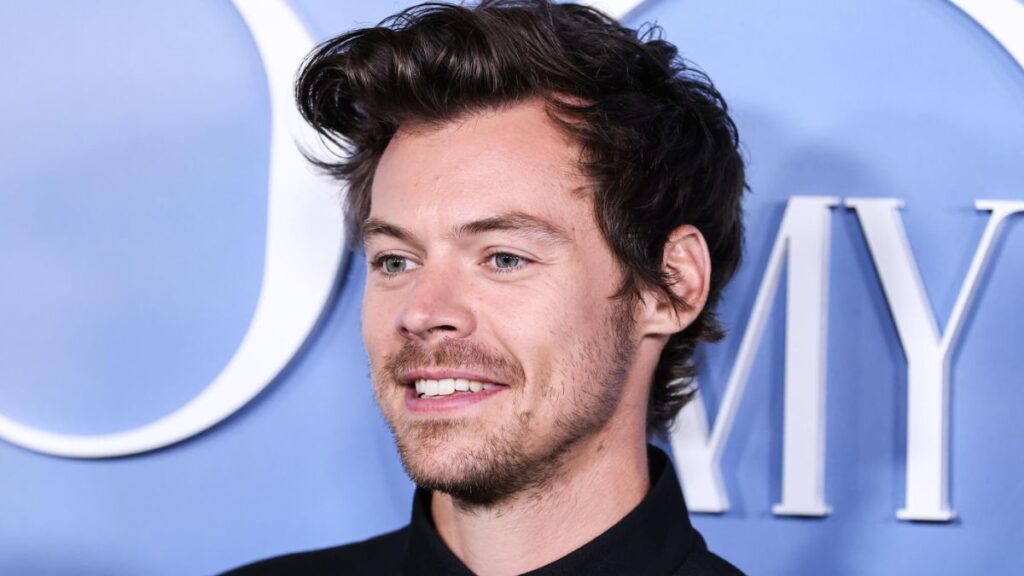 Harry Styles portrait smiling MSN