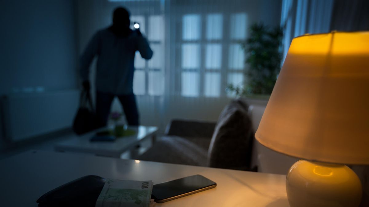 Burglar Thief In House Holding Flashlight MSN