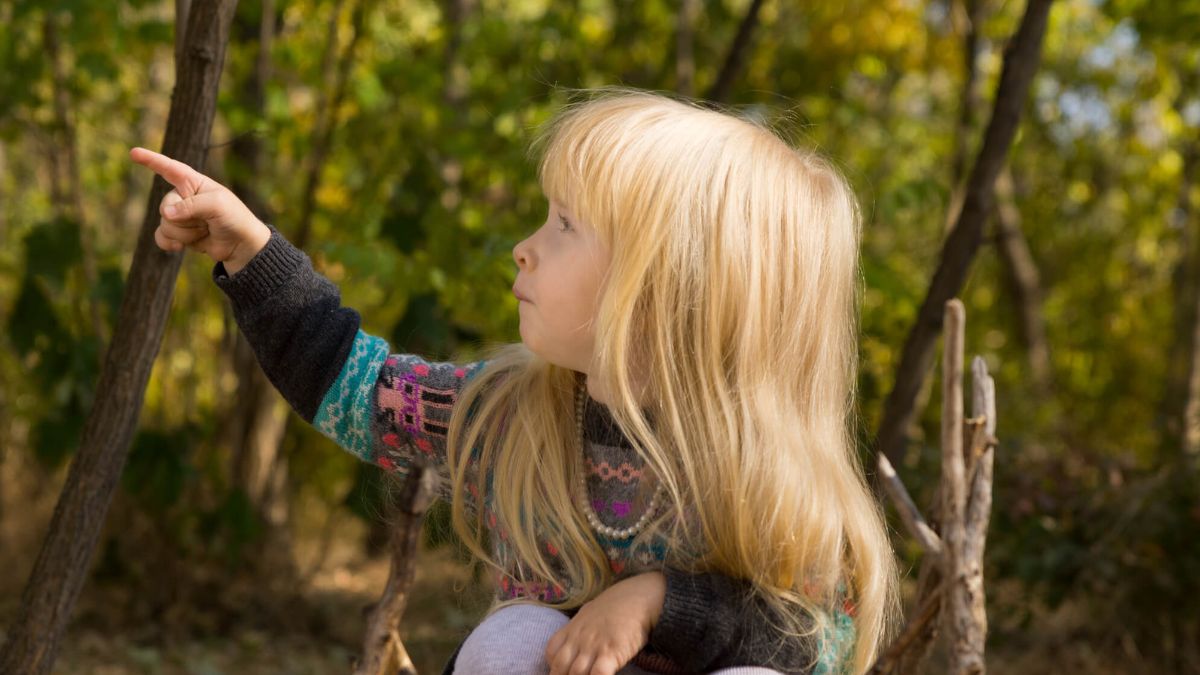 Little Blond Girl Pointing To The Side MSN