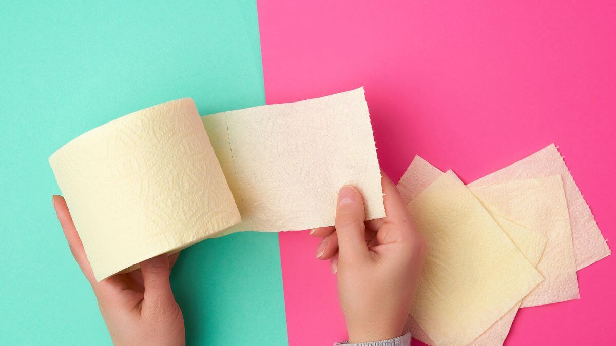 colored toilet paper MSN