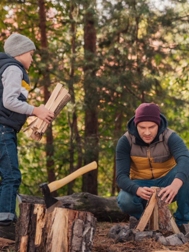 Father and Son Chopping Firewood MSN