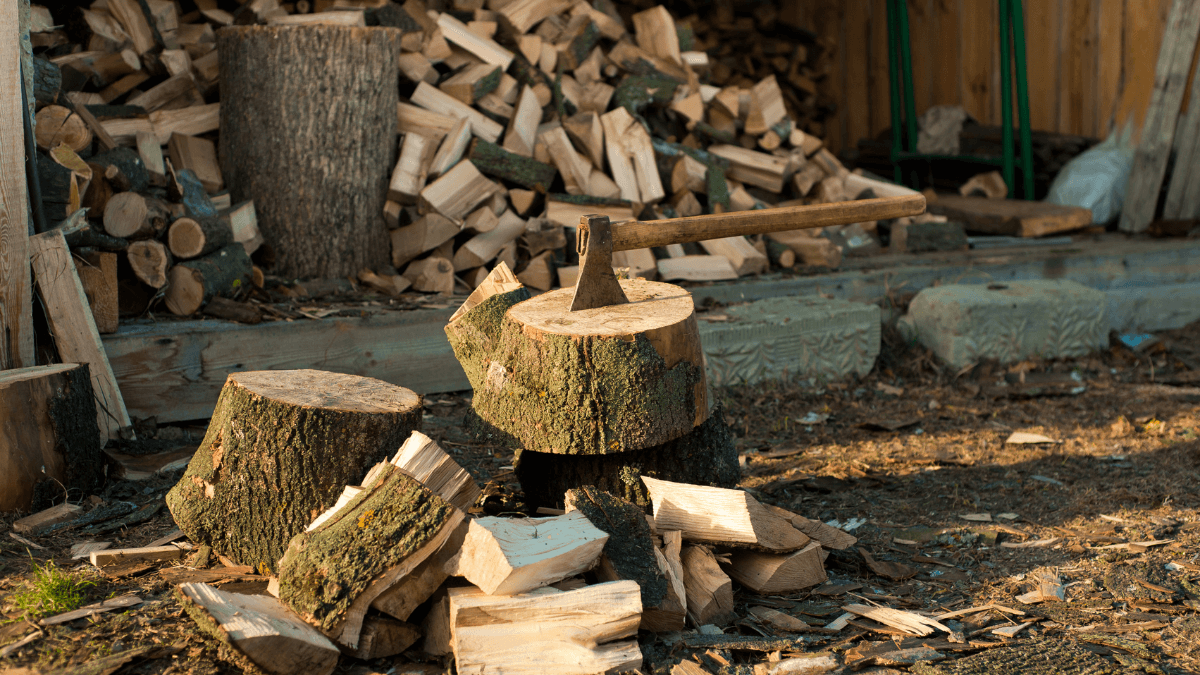 Axe in Chopping Block Stock
