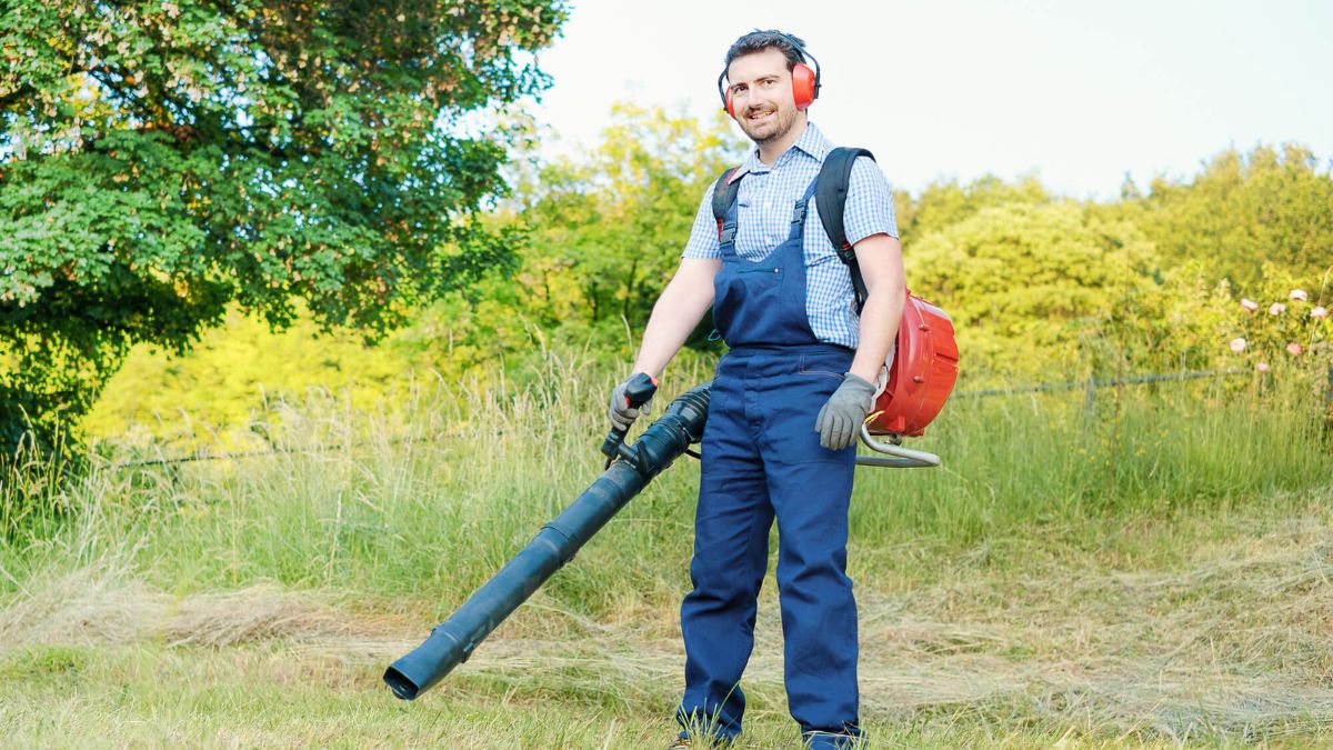 Man Clearing Up Leaves Using Leaf Blower MSN