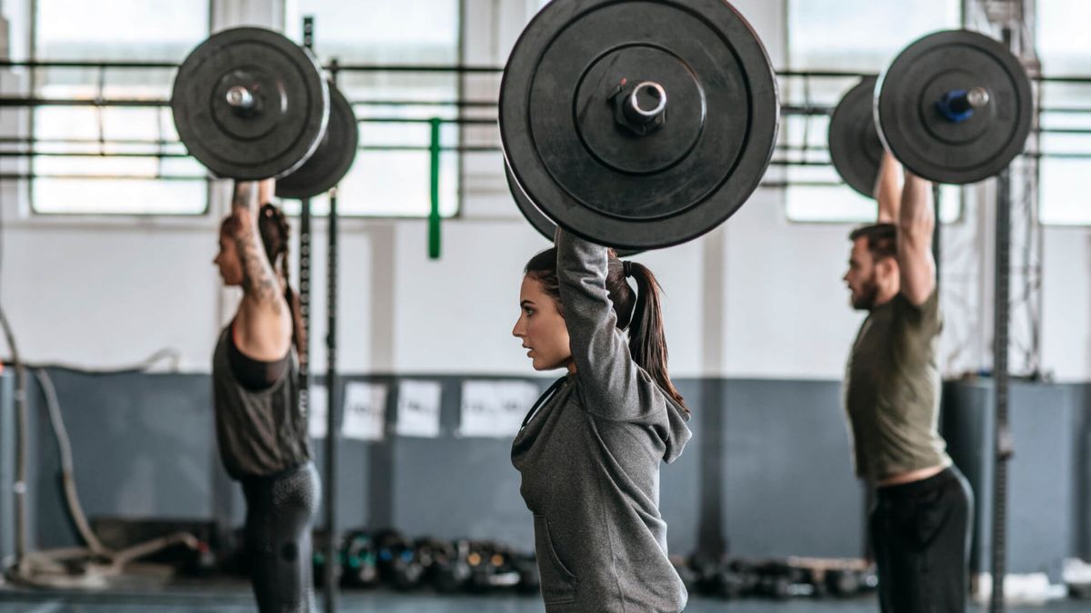 People Doing Workouts At Gym MSN