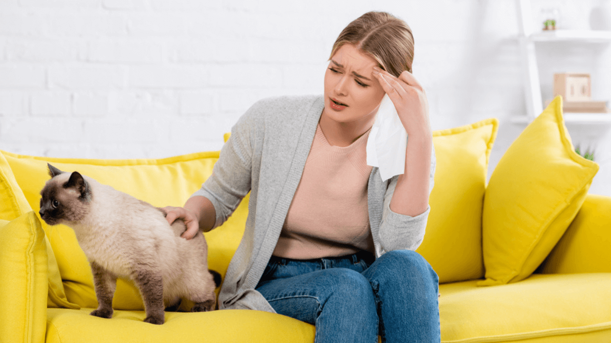 Woman frustrated with her cat - MSN