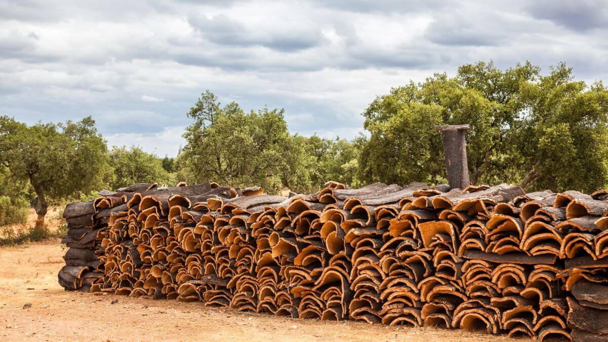Raw Cork Material Outdoors MSN