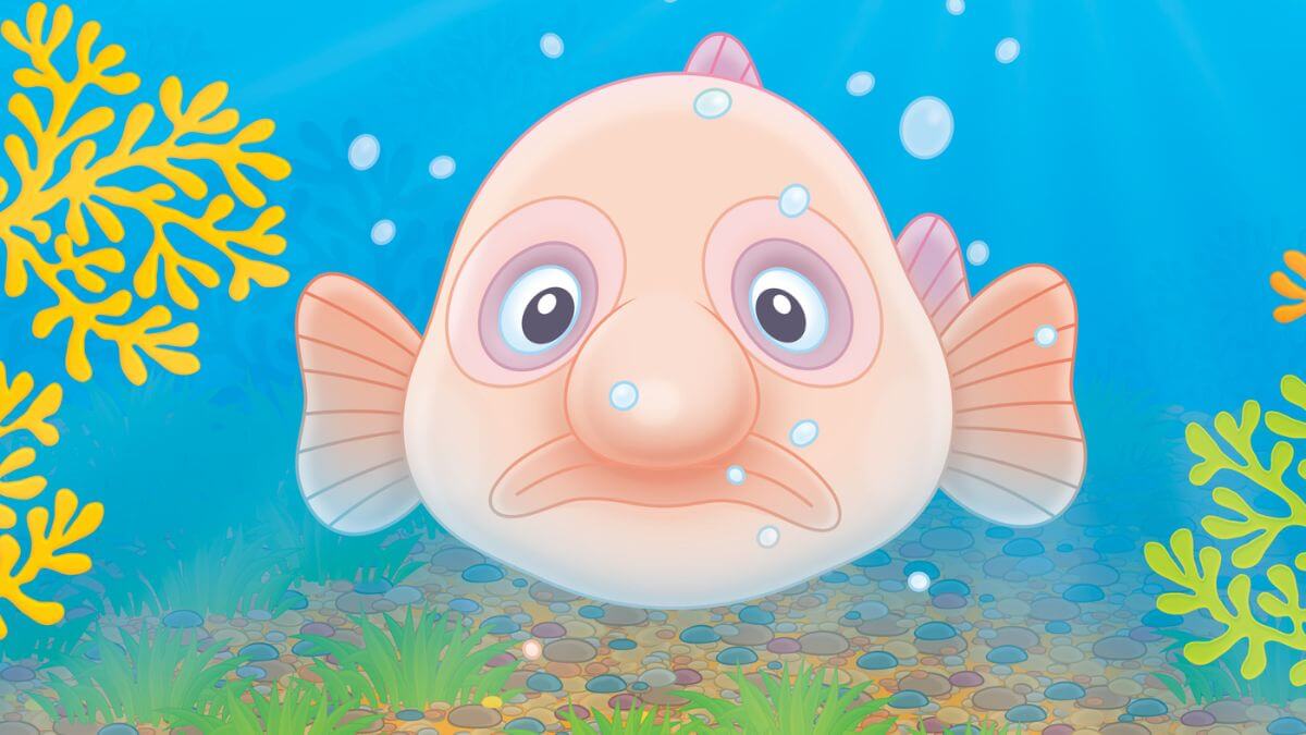 Sad Blobfish Illustration MSN