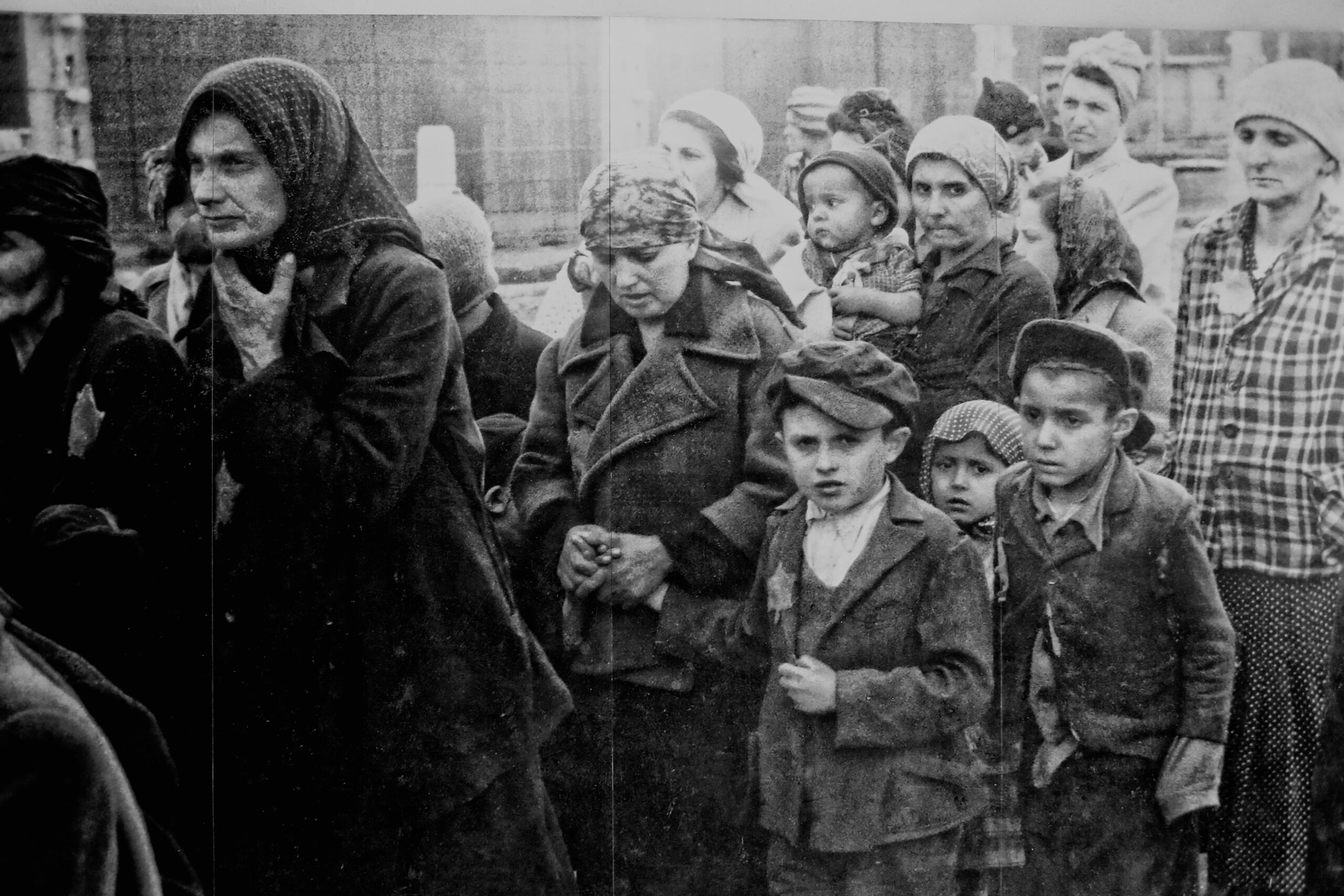 Auschwitz prisoners MSN.