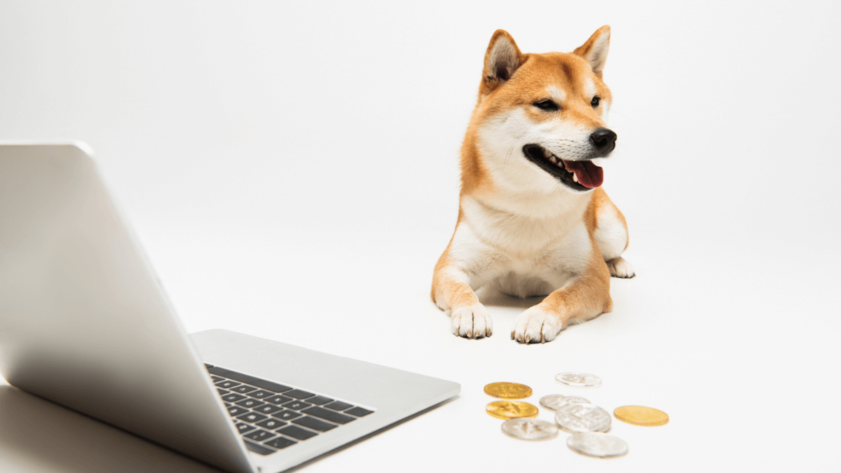 What Are NFTs? Your Best Guide To A New Digital Investment