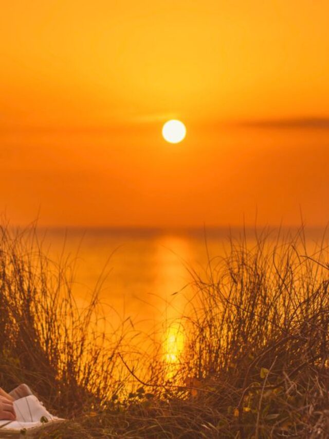 Woman Admiring the Sunset MSN