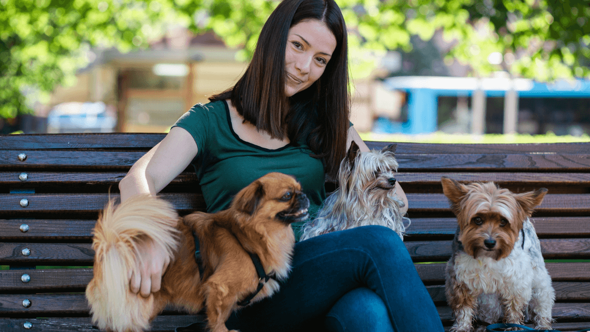 A woman sitting on a bench with dogs MSN.