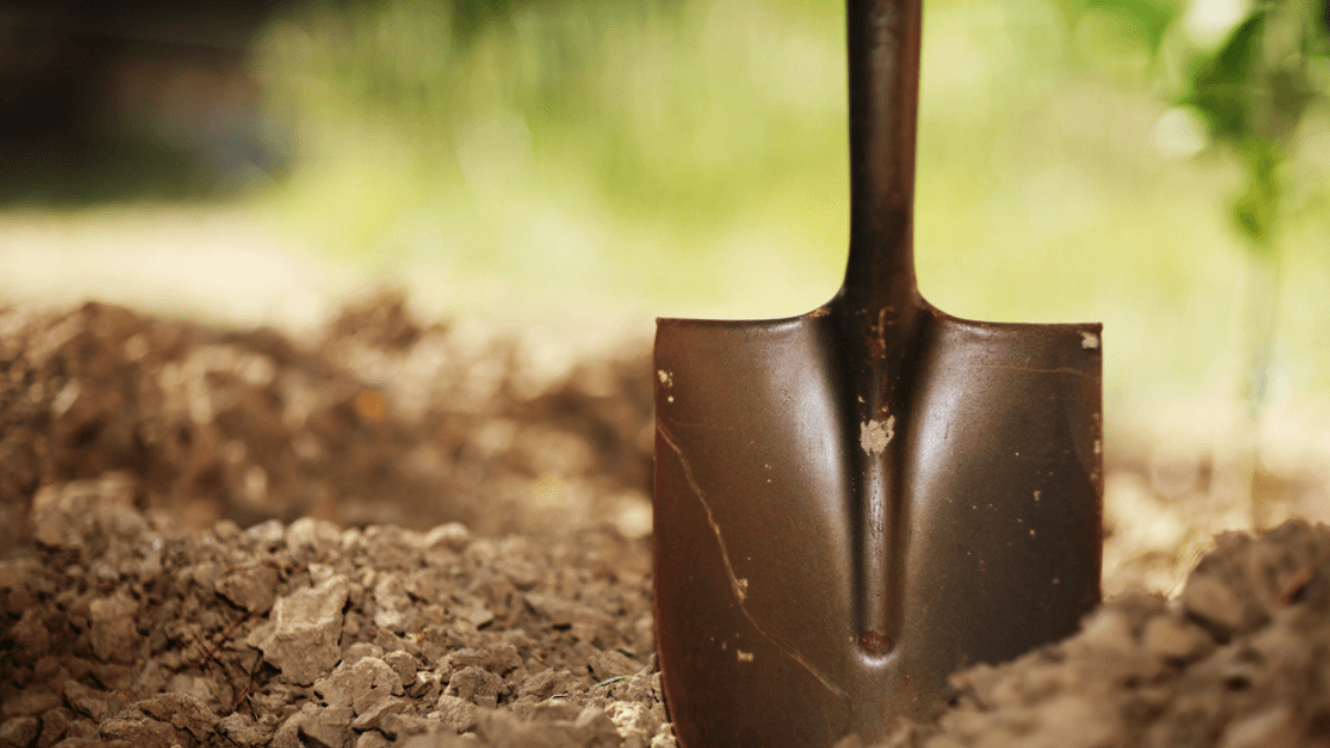 A shovel in soil MSN