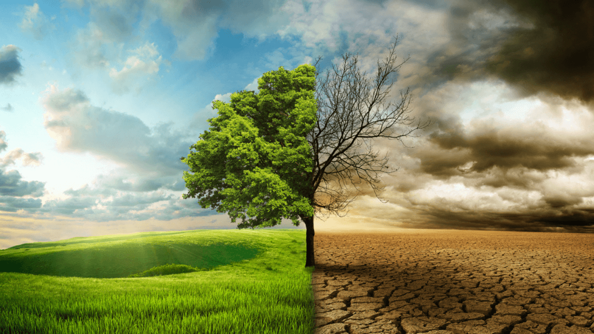 Global warming MSN