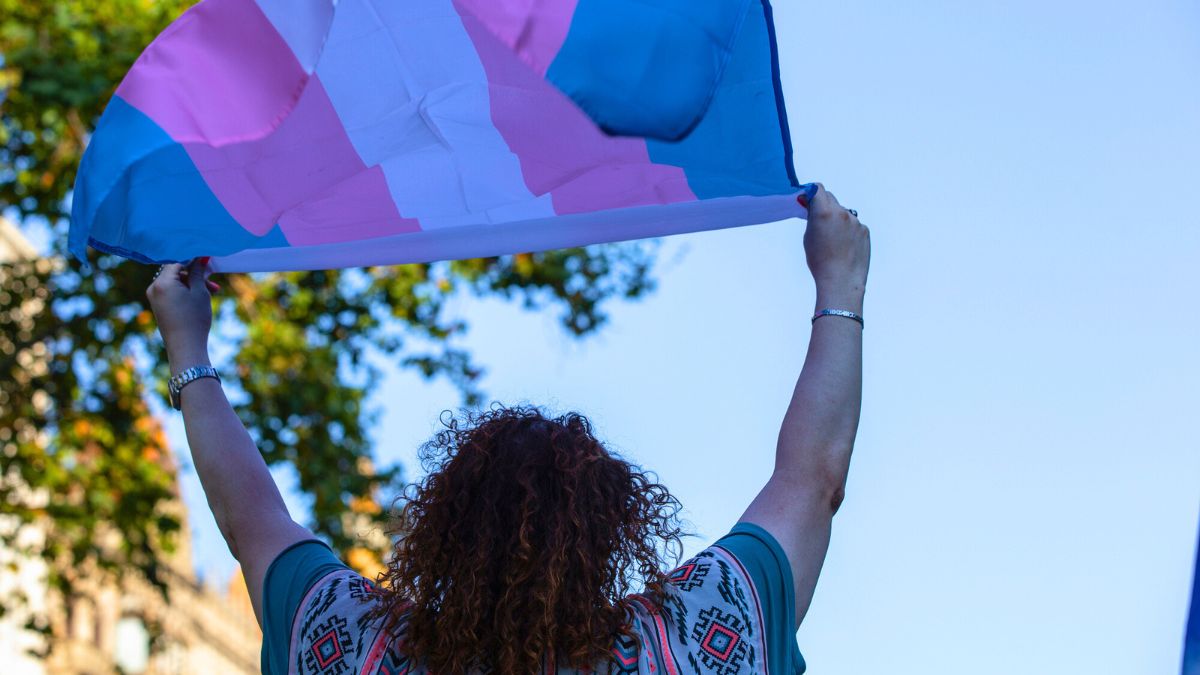 Person Holding a Trans Flag MSN
