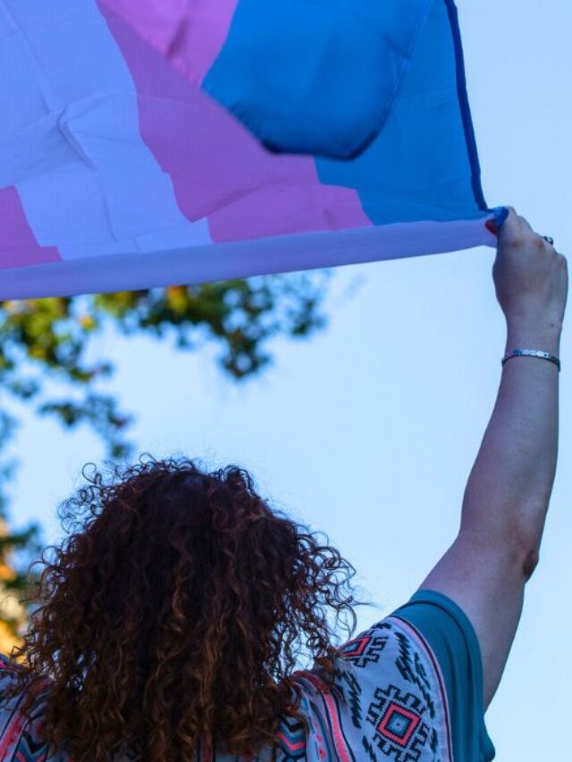 Person Holding a Trans Flag MSN