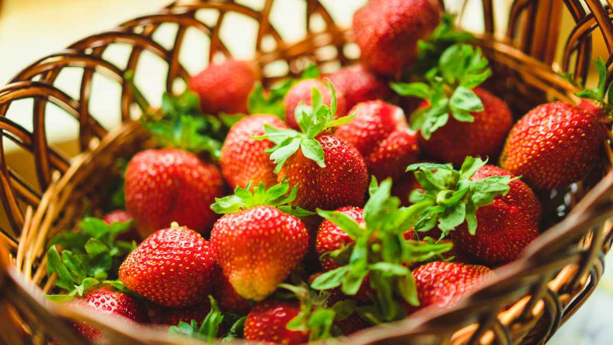Basket of strawberries MSN.