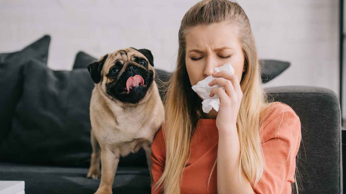 A person blowing her nose with a dog MSN.
