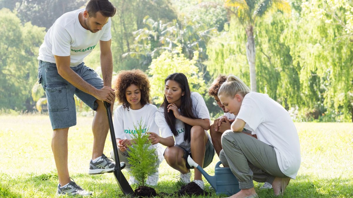 Men and women planting trees as part of their environmental advocacy MSN