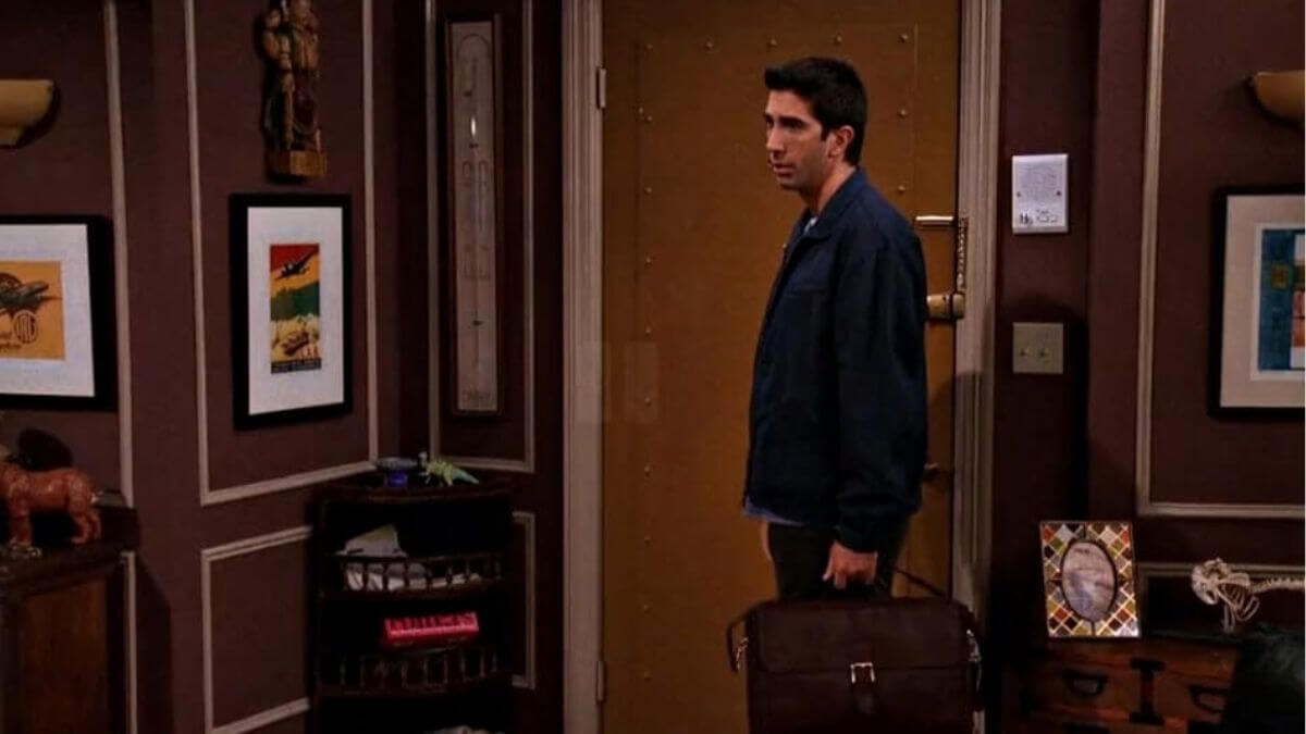 Sitcom-David Schwimmer-Friends-MSN