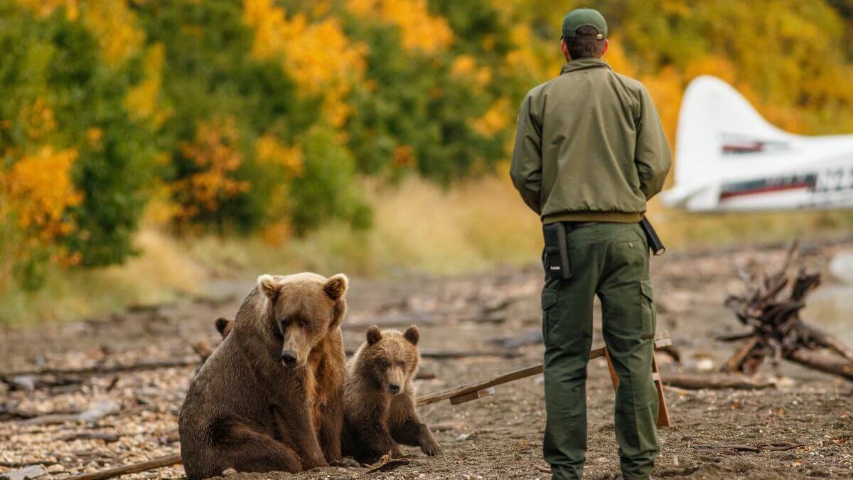 Park ranger with the bears MSN