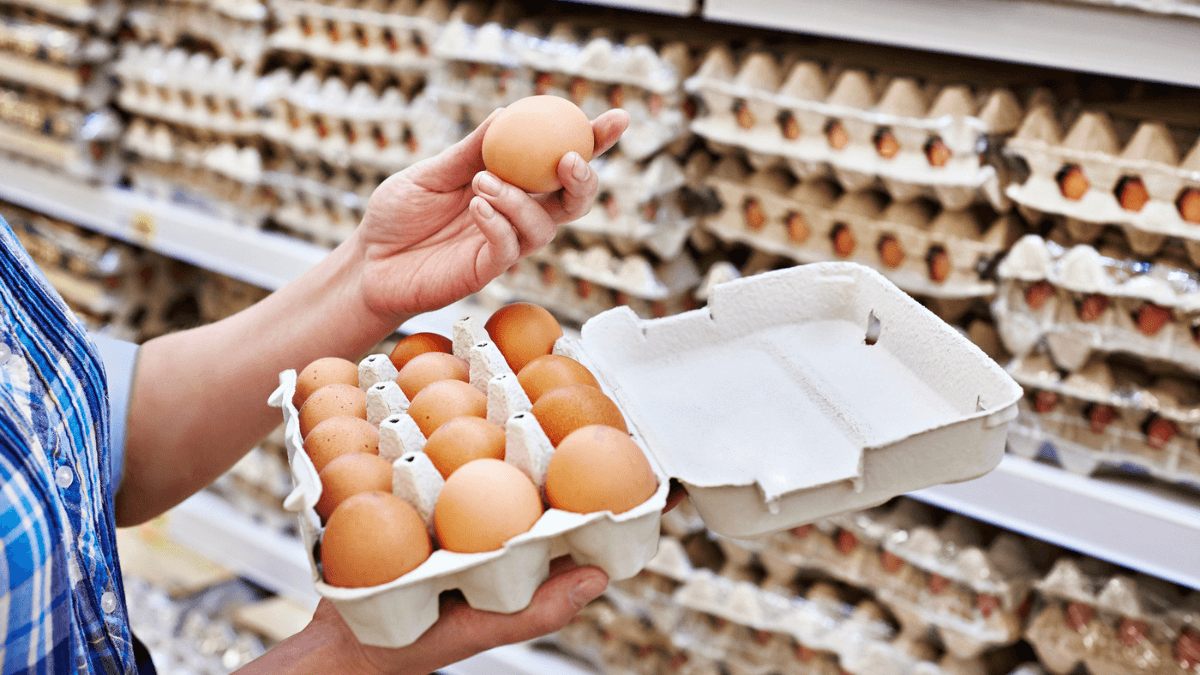Why Are Eggs So Expensive? Revealing 5 Factors On The Price Surge