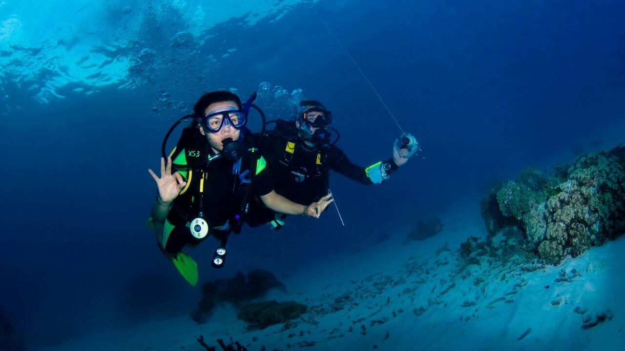 Scuba Diving MSN