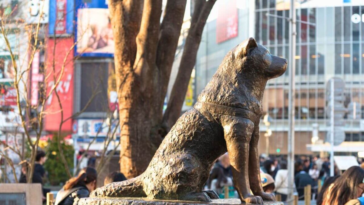 Hachiko Memorial Statue in Shibuya, Tokyo